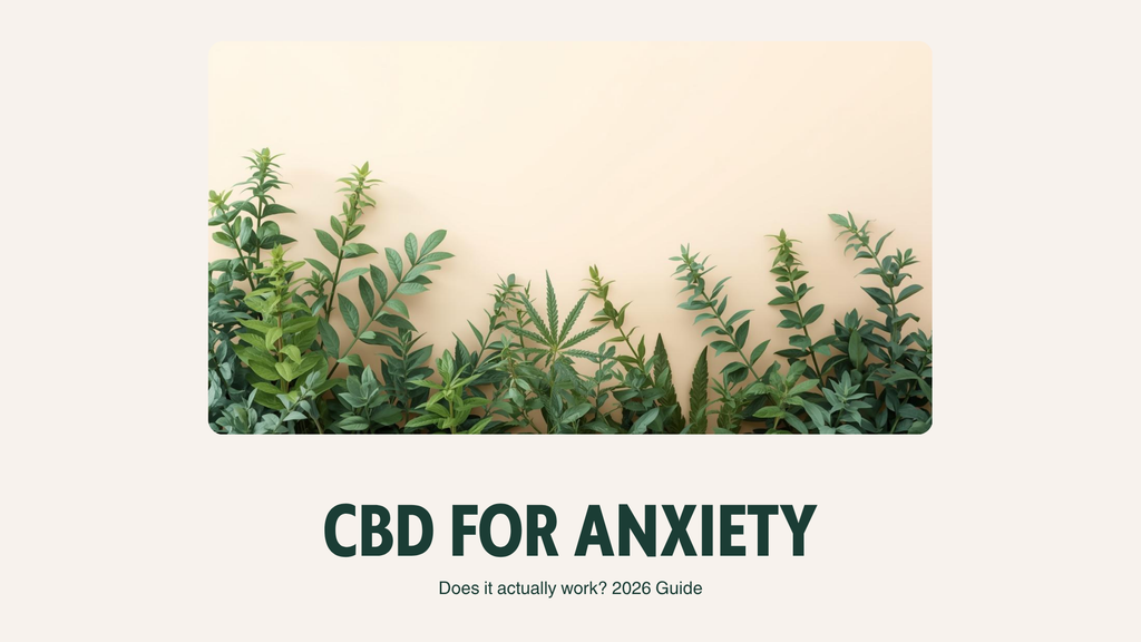 CBD for Anxiety and Stress: Does It Actually Work? (2026 Guide)
